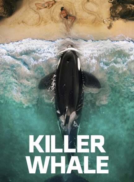 دانلود فیلم Killer Whale 2026 زیرنویس چسبیده